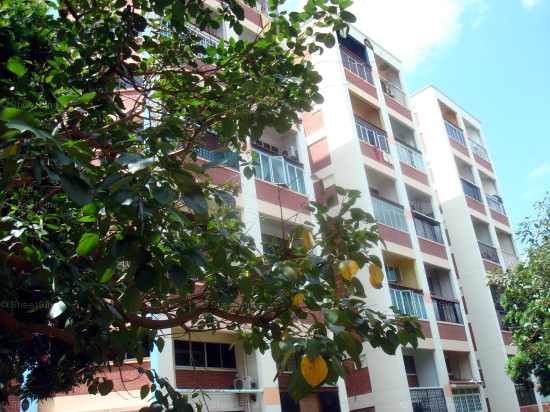 Woodlands Street 81 thumbnail photo